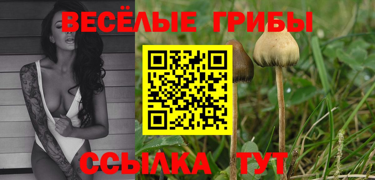 Карпинск  Псилоцибиновые грибы ЛСД  Вход с VPN 